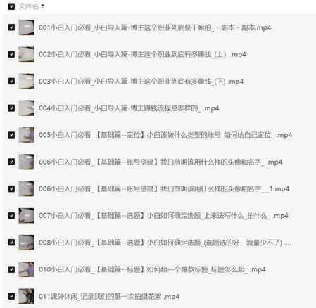 适合小白的自媒体赚钱干货课程 2.38GB全套实战教程