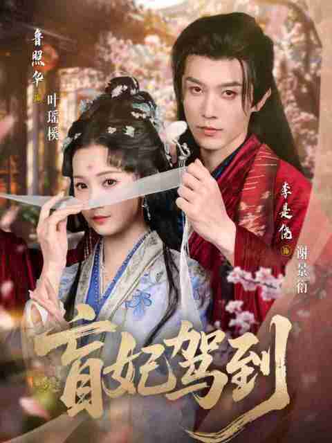 【短剧】盲妃驾到(65集全集)鲁照华&李是侥