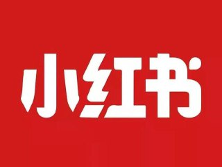 戴小胖小红书从0-1爆款实操课[免费在线观看][夸克网盘]