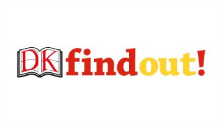 DK发现探索系列科普绘本《DK Findout (PDF+视频) 》[免费在线观看][夸克网盘]
