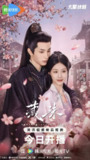 藏珠 (2025) 【更新EP15 4K】【赵夕汐/爱情/短剧】[免费在线观看][夸克网盘]