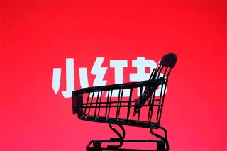 【阿本小红书电商陪跑营4.0】，带大家从0到1把小红书做起来[免费在线观看][夸克网盘]