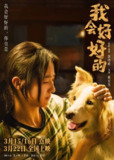 【豆瓣6.2】《我会好好的》(2025)【主演: 张子枫 / 王景春】【4K/高码/杜比音效】【中文字幕】[免费在线观看][夸克网盘]