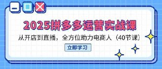 2025拼多多运营实战课程40节[免费在线观看][夸克网盘]