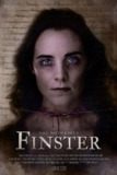 连环杀手芬斯特 / The Notorious Finster [中英双字][超清][美国][2024][免费在线观看][夸克网盘]