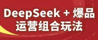 【2025淘系精品课】DeepSeek+爆品运营组合玩法[免费在线观看][夸克网盘]