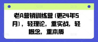 老A营销训练营轻理论 + 重实战[免费在线观看][夸克网盘]
