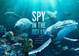 Spy in the Ocean[免费在线观看][夸克网盘]