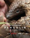 穿山甲Kulu的旅程 Pangolin: Kulu’s Journey (2025) 1080p中英字幕 【网飞纪录电影】[免费在线观看][夸克网盘]