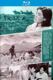 牧马人 (1982)【蓝光原盘REMUX】【PCM无损原生国语】内封简繁英双语六字幕 -[免费在线观看][夸克网盘]