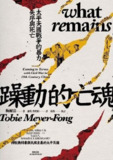 《躁動的亡魂：太平天國戰爭的暴力、失序與死亡》(epub)[免费在线观看][夸克网盘]