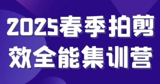 2025春季拍剪效全能集训营[免费在线观看][夸克网盘]