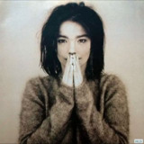 Björk - 1993年专辑 - Debut Flac[免费在线观看][夸克网盘]