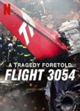悲剧预言：巴西3054航班空难 Congonhas: Tragédia Anunciada (2025) 纪录片[免费在线观看][夸克网盘]