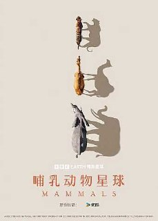 哺乳动物星球 (2024) 4K HLG 中字外挂字幕[免费在线观看][夸克网盘]
