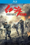 红海行动 (2018)【蓝光原盘REMUX】【杜比全景声&次世代临境音双国语】内封简繁特效字幕 -[免费在线观看][夸克网盘]