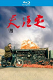 天注定 (2013)【蓝光原盘REMUX】【次世代环绕声原生国语】内封简繁英双语字幕 -[免费在线观看][夸克网盘]