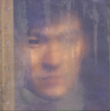 刘德华 - 1995年专辑 - 情未鸟 Flac[免费在线观看][夸克网盘]