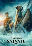 野性的呼唤 (2020) 4K UHD BluRay 中字外挂字幕[免费在线观看][夸克网盘]