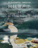 风味原产地·贵阳 (2021) 4K[免费在线观看][夸克网盘]