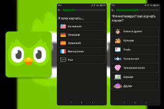 Duolingo - 多邻国高效学外语 v6.30.2[免费在线观看][夸克网盘]