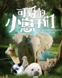 6823d9ee2a469.jpg (128×160)