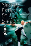 【原盘】南北少林 (1986)1080P REMUX 国粤多音轨 中字外挂/内嵌字幕[免费在线观看][夸克网盘]