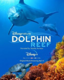海豚礁 (2020) 4K HDR 中英外挂字幕[免费在线观看][夸克网盘]