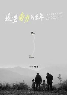 遥望南方的童年 (2007) 1080P[免费在线观看][夸克网盘]