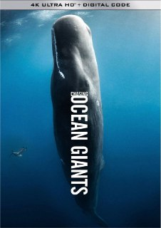 追踪海洋巨兽 (2021) 4K 中英硬字幕[免费在线观看][夸克网盘]