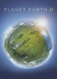 地球脉动 第二季 (2022) 4K HDR 中字内嵌字幕[免费在线观看][夸克网盘]