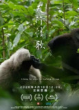 天行情歌 (2020) 4K[免费在线观看][夸克网盘]