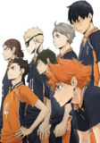 排球少年TV4季 附剧场版 1080p