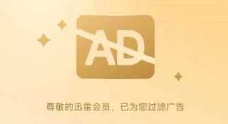迅雷绿色精简融合版 - 基于官方版精简绿化