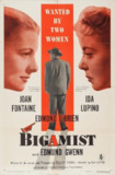 重婚泪 The Bigamist 1953 (10GB)