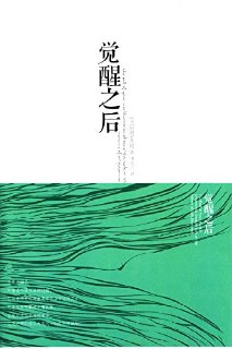 《觉醒之后》｜阿迪亚香提灵性觉醒力作 EPUB电子书