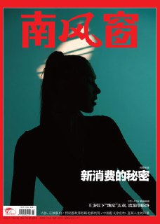 《南风窗(2025年第8期)》(epub)