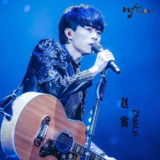 赵雷-湘江音乐节之赵雷 (Live) (2015) ALAC