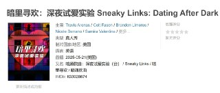 暗里寻欢：深夜试爱实验 Sneaky Links: Dating After Dark (2025)