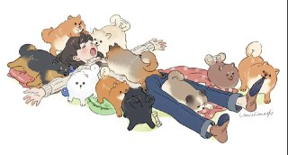 各类精美壁纸大合集