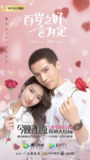 电视剧《百岁之好，一言为定》(2020)｜王安宇×向涵之 从校服到婚纱成长全记录