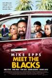 拜见布莱克一家 Meet The Blacks (2016) 1080p 原盘Remux 中文字幕 【21.93GB】已刮削