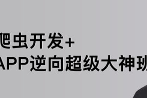 【路飞学城】爬虫开发+APP逆向超级大神班-03期 - 带源码课件