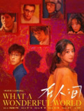在人间 (2025) 首播3集 [1080P][赵丽颖 尹昉 张一山][爱情 奇幻]