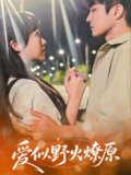 2025年5月28日合集目录7 / 最新 短剧