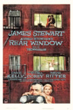 后窗 Rear Window (1954) 4K/2160p 原盘Remux 中文字幕 【75.01GB】已刮削