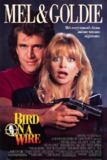 轰天俏娇娃 Bird on a Wire (1990) 1080p 原盘Remux 中文字幕 【20.57GB】已刮削