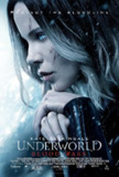 黑夜传说5：血战 Underworld: Blood Wars (2016) 4K/2160p 原盘Remux 中文字幕 【36.89GB】已刮削