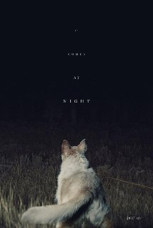 黑夜造访 It Comes at Night (2017) 1080p 原盘Remux 中文字幕 【16.74GB】已刮削