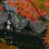 王冰洋 飞舞 2006 FLAC